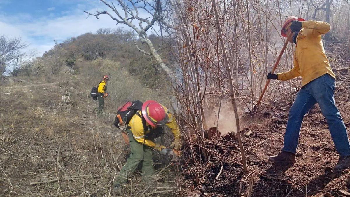 Reporte Forestal Jal